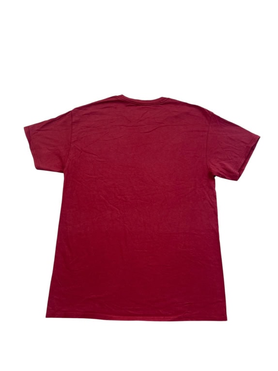 NFL TEAM APPAREL GRAPHIC TEE BURGUNDY MENS PRE OWNED M