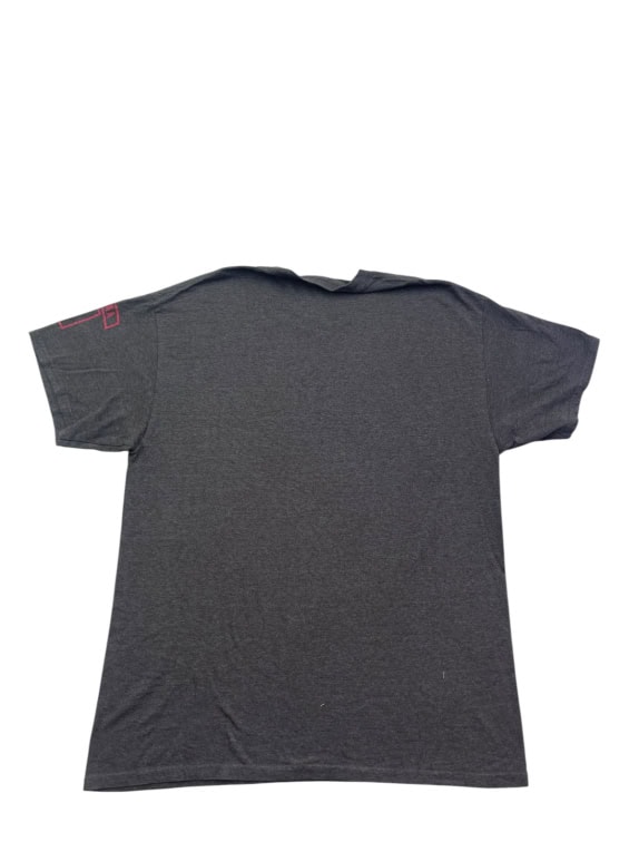 NFL TEAM APPAREL GRAPHIC TEE CHARCOAL MENS PRE OWNED L