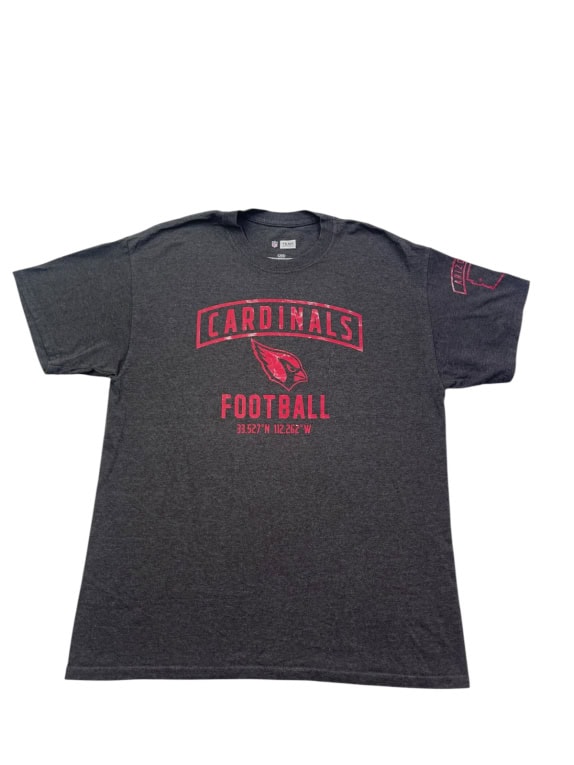 NFL TEAM APPAREL GRAPHIC TEE CHARCOAL MENS PRE OWNED L