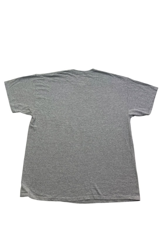 NFL TEAM APPAREL GRAPHIC TEE GREY ΑΝΤΡΙΚΟ PRE OWNED XL