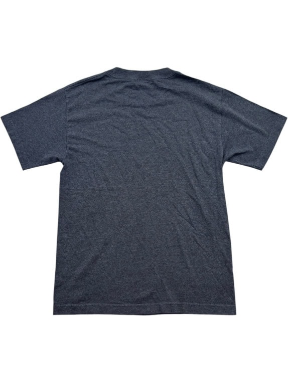 NFL TEAM APPAREL T SHIRT GRAPHIC GREY MENS PRE OWNED S
