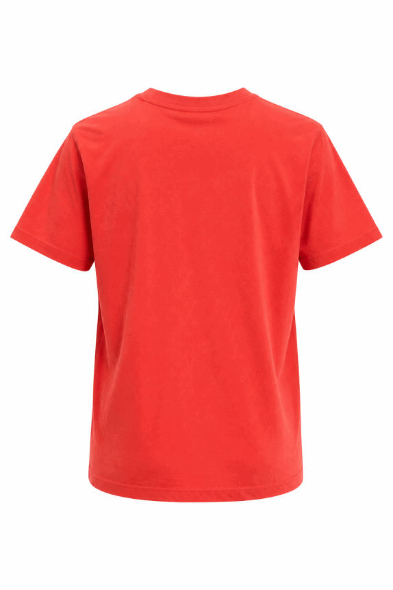 NIKE GRAPHIC TEE RED ΑΝΤΡΙΚΟ PRE OWNED L