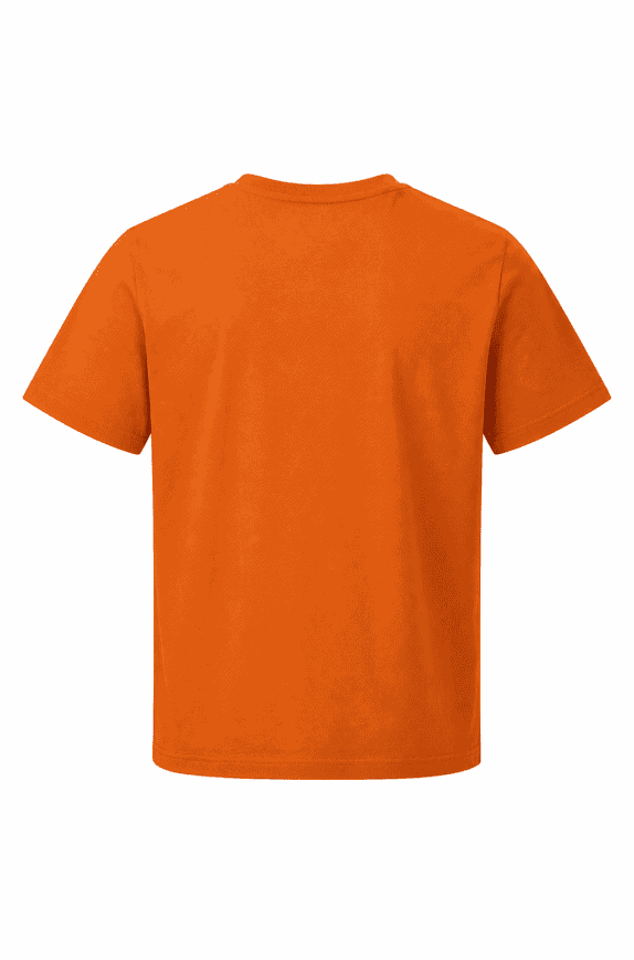 NIKE GRAPHIC TEE SPORTSWEAR ORANGE ΑΝΤΡΙΚΟ PRE OWNED L