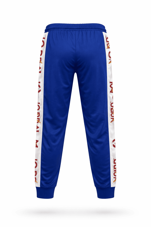 NIKE JORDAN ΠΑΝΤΕΛΟΝΙ ΦΟΡΜΑΣ SPORTSWEAR ΜΠΛΕ ΑΝΤΡΙΚΟ PRE OWNED L