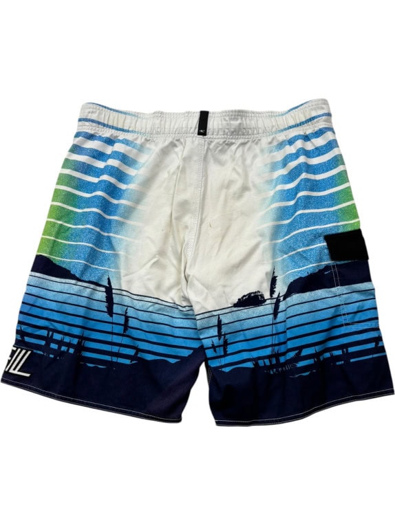 ONEILL BOARD SHORTS GRAPHIC MULTICOLOR MENS PRE OWNED M