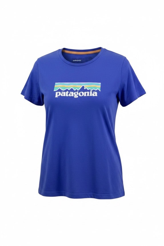 PATAGONIA T SHIRT GRAPHIC ΜΠΛΕ ΓΥΝΑΙΚΕΙΟ PRE OWNED M