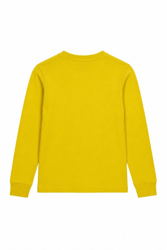 POLO RALPH LAUREN LONG SLEEVE TEE CLASSIC YELLOW ΑΝΤΡΙΚΟ PRE OWNED M