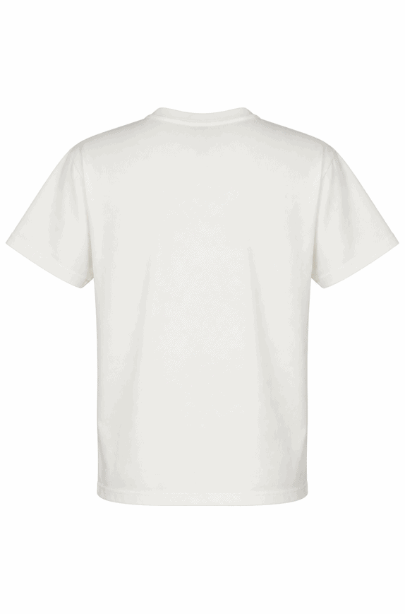 POWELL PERALTA GRAPHIC TEE VINTAGE OFF WHITE UOMO PRE OWNED XL