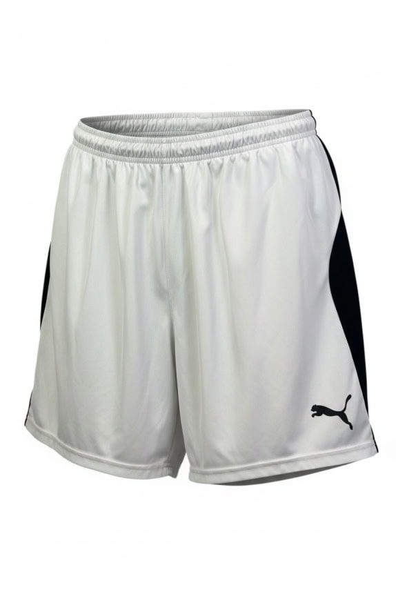 PUMA ΑΘΛΗΤΙΚΟ ΣΟΡΤΣ SPORTSWEAR ΛΕΥΚΟ ΑΝΤΡΙΚΟ PRE OWNED M
