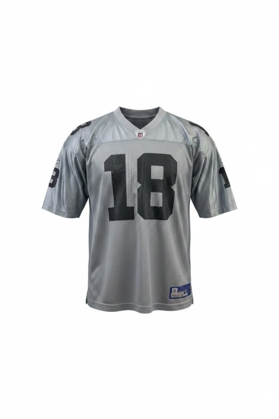 REEBOK NFL FOOTBALL JERSEY SPORTSWEAR SILVER GREY MEN PRE OWNED XL