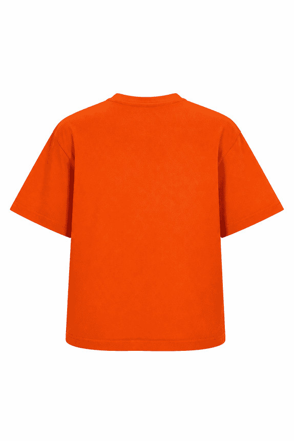 RUSSELL ATHLETIC GRAPHIC TEE STREETWEAR ARANCIONE UOMO PRE OWNED 2XL/2XG