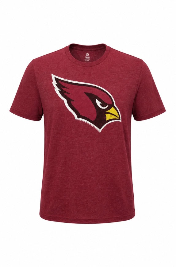TEAM APPAREL T SHIRT GRAPHIC ΜΠΟΡΝΤΟ ΑΝΤΡΙΚΟ PRE OWNED M