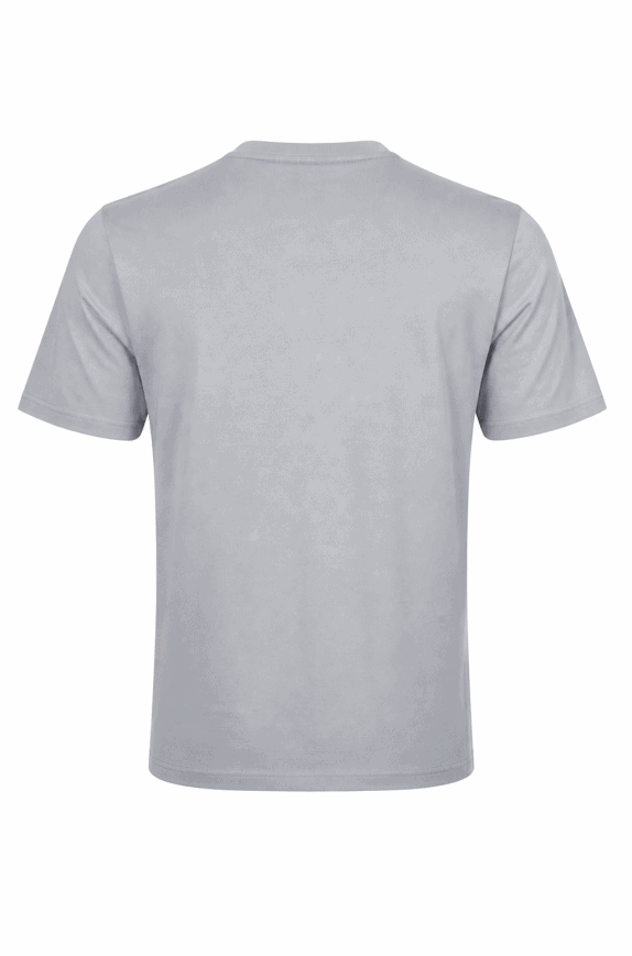 THE NORTH FACE GRAPHIC TEE MINIMAL GREY MEN PRE OWNED M