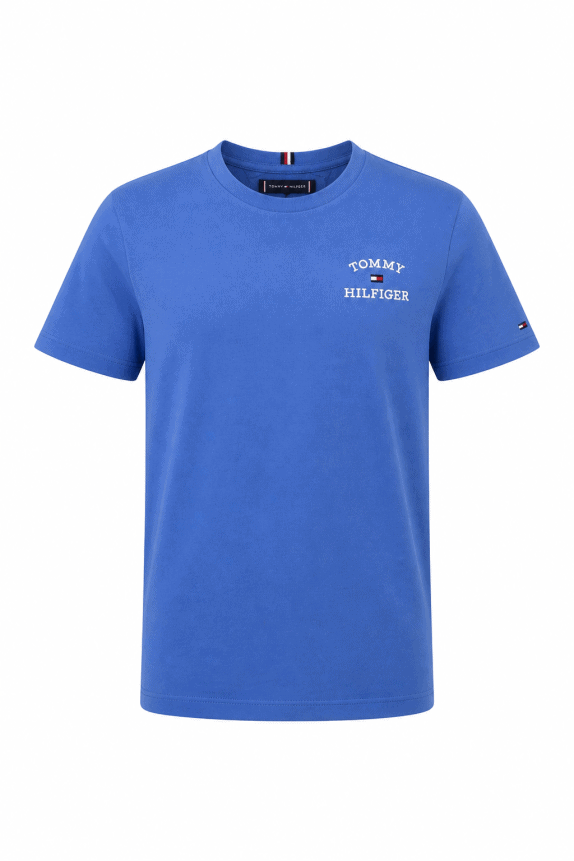 TOMMY HILFIGER GRAPHIC TEE MINIMAL BLUE ΑΝΤΡΙΚΟ PRE OWNED S