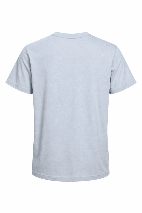 TOMMY HILFIGER T SHIRT MINIMAL LIGHT BLUE ΑΝΤΡΙΚΟ PRE OWNED M