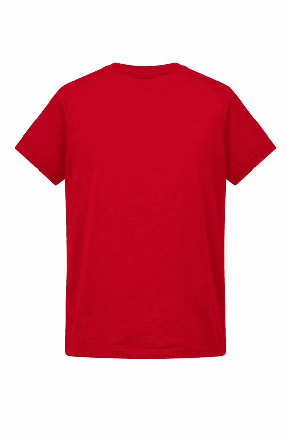 TOMMY HILFIGER T SHIRT MINIMAL ROSSO UOMO PRE OWNED M