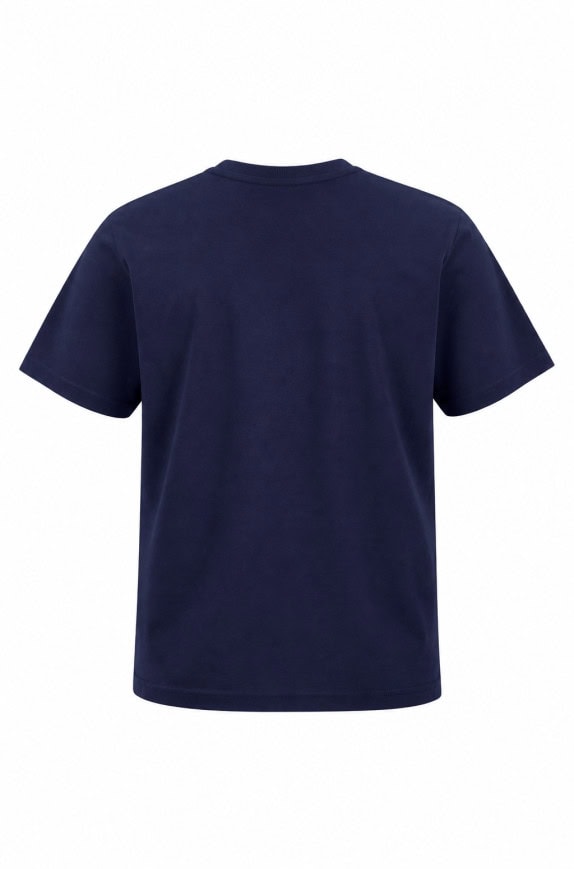 U.S. POLO ASSN T SHIRT GRAPHIC BLUE MEN PRE OWNED M