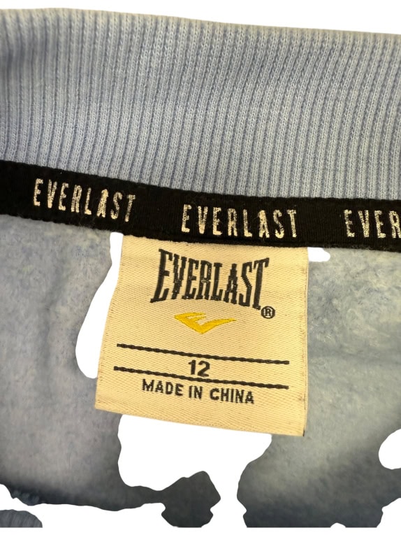 VINTAGE EVERLAST SWEATSHIRT BLUE/BEIGE