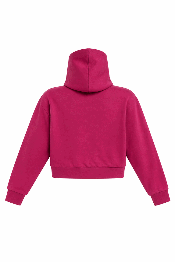 WRANGLER CROP HOODIE GRAPHIC PINK ΓΥΝΑΙΚΕΙΟ PRE OWNED XL