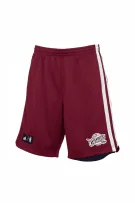 Adidas Cleveland Cavaliers NBA Σορτς Μπορντό Ανδρικό M