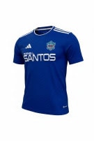ADIDAS FOOTBALL JERSEY GRAPHIC BLUE MEN PRE OWNED S