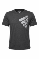 ADIDAS GRAPHIC TEE MINIMAL CHARCOAL UOMO PRE OWNED M