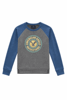 AMERICAN EAGLE OUTERWEAR SWEATSHIRT GRAPHIC GREY BLUE MEN PRE OWNED S