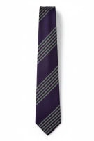 CAMERUCCI CRAVATTA CLASSICA A RIGHE VIOLA UOMO PRE OWNED