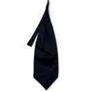 CARLO PIGNATELLI CRAVATTA CLASSIC NAVY UOMO PRE OWNED