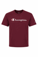 CHAMPION GRAFIC TEE STREETWEAR BORDEAUX ΑΝΤΡΙΚΟ PRE OWNED L