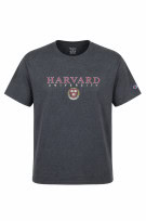 CHAMPION GRAPHIC TEE COLLEGE GRIGIO UOMO PRE OWNED L