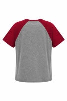 CHAMPION GRAPHIC TEE SPORTY GREY RED MEN PRE OWNED M