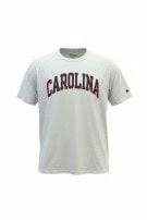 CHAMPION T SHIRT COLLEGIATE ΛΕΥΚΟ ΑΝΤΡΙΚΟ PRE OWNED L