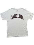 CHAMPION T SHIRT COLLEGIATE ΛΕΥΚΟ ΑΝΤΡΙΚΟ PRE OWNED L