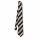 ERMENEGILDO ZEGNA ΓΡΑΒΑΤΑ ΚΛΑΣΙΚΗ NAVY ΜΠΕΖ ΑΝΤΡΙΚΟ PRE OWNED