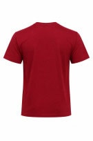 HOLLISTER GRAPHIC TEE MINIMAL RED MENS PRE OWNED M