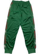 LACOSTE ΠΑΝΤΕΛΟΝΙ ΦΟΡΜΑΣ ATHLEISURE ΜΕ SIDE LOGO TAPE ΠΡΑΣΙΝΟ ΑΝΔΡΙΚΟ S