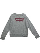 Levi’s Sweatshirt Vintage Big Logo Grey Women’s S