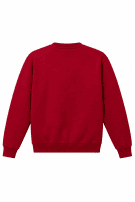 NBA SWEATSHIRT GRAPHIC RED MALE PRE OWNED M