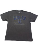 NFL TEAM APPAREL GRAPHIC TEE CHARCOAL MENS PRE OWNED L