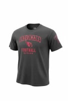 NFL TEAM APPAREL GRAPHIC TEE CHARCOAL MENS PRE OWNED L