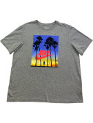 NIKE T SHIRT GRAPHIC RETRO GRIGIO UOMO PRE OWNED L