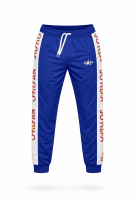 NIKE JORDAN JOGGER PANTS SPORTY BLUE MEN PRE OWNED L