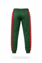 NIKE ΠΑΝΤΕΛΟΝΙ ΦΟΡΜΑΣ SPORTSWEAR ΠΡΑΣΙΝΟ ΑΝΤΡΙΚΟ PRE OWNED L