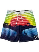 ONEILL BOARD SHORTS GRAPHIC MULTICOLOR MENS PRE OWNED M