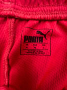 Puma Ανδρικό Αθλητικό Σορτσάκι FC Ingolstadt Κόκκινο Μέγεθος XL