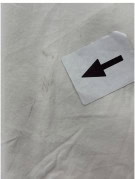 RALPH LAUREN SHIRT CLASSIC CREAM MENS PRE OWNED L
