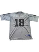 REEBOK NFL FOOTBALL JERSEY SPORTSWEAR SILVER GREY MEN PRE OWNED XL