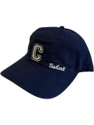 VINTAGE CARHARTT BLUE CAP ONE SIZE