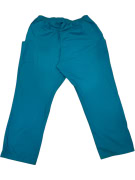 VINTAGE DICKIES TEAL PANTS 4XL